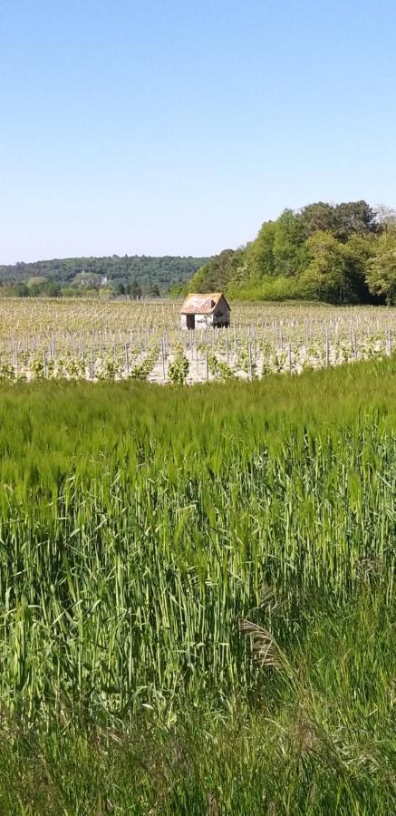 Le Clos De La Chesneraie Сен-Жорж-сюр-Шер Екстер'єр фото